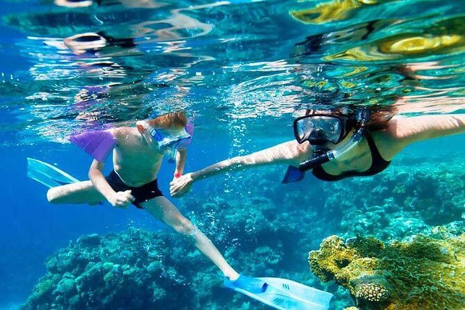 SkyReef Cozumel Snorkel & Tequila Tasting - Parque Nacional Arrecifes de Cozumel: the shore snorkeling reality check