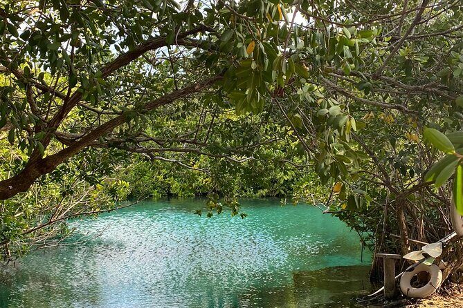 Small-Group 3 Cenotes Adventure Tour - Snorkeling kit, water shoes, and what to wear in cenote conditions