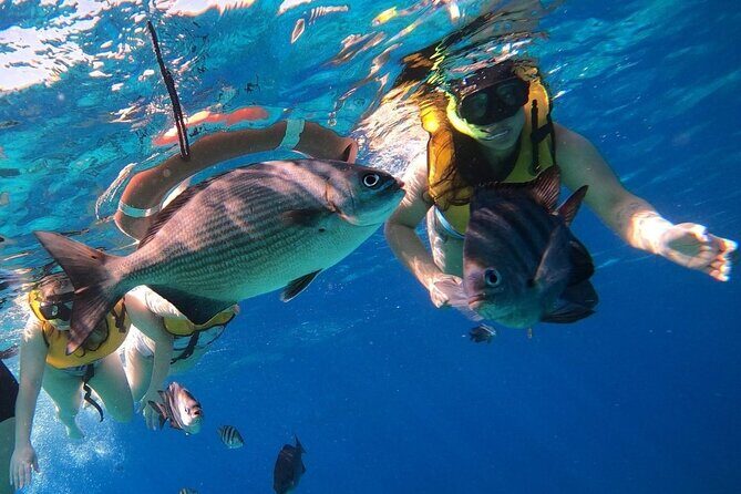 Snorkel along the coast, explore two reefs by Chivis del Mar - Gear, buoyancy, and reef-protection rules you must follow