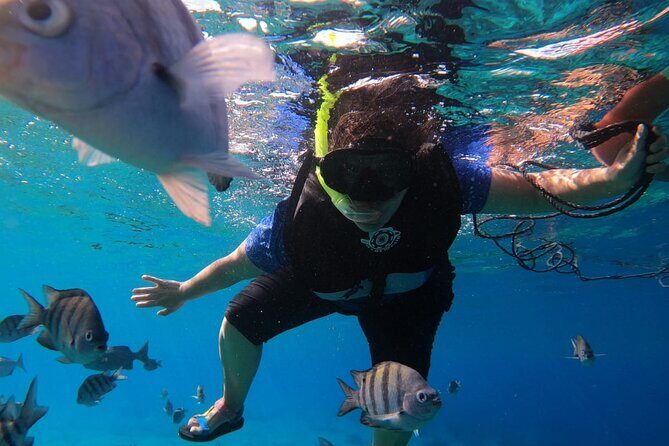 Snorkel along the coast, explore two reefs by Chivis del Mar - Safety and hosting style: Barbara and Captain Jose in the real-world groove