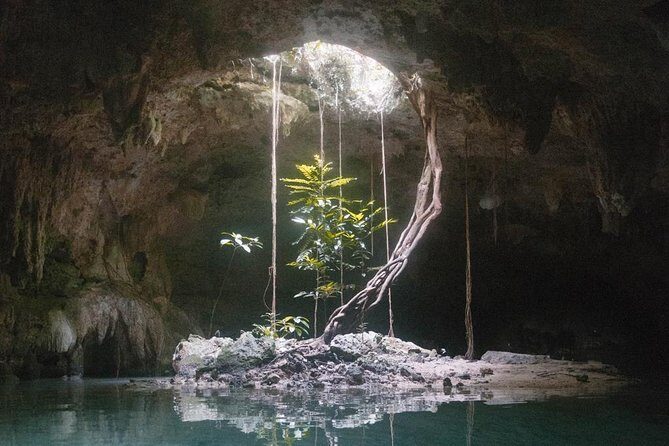 Snorkeling Adventure Tour Reef & Cenote - Gear, snacks, and lunch: what’s included (and what to bring)