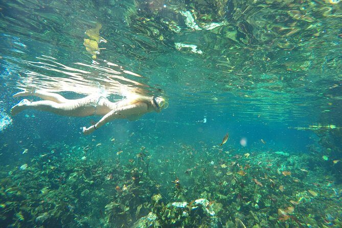 Snorkeling Adventure Tour Reef & Cenote - Guide quality: the biggest variable in any water tour