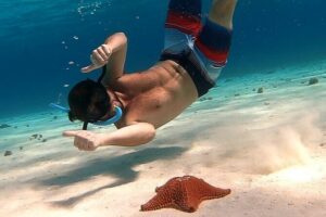 Starfish, Stingrays and the Turtle Sanctuary Snorkel Tour - Where you meet in Cozumel: Marina Asipona, not the place you think