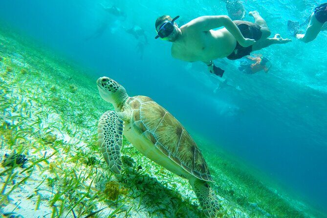 Starfish, Stingrays and the Turtle Sanctuary Snorkel Tour - On the water: what the small shaded boat changes