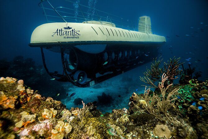 Submarine Atlantis Cozumel Adventure by Day & Sunset - Cozumel’s Wall and the Artificial Reef Ship: The Stops That Make It Special