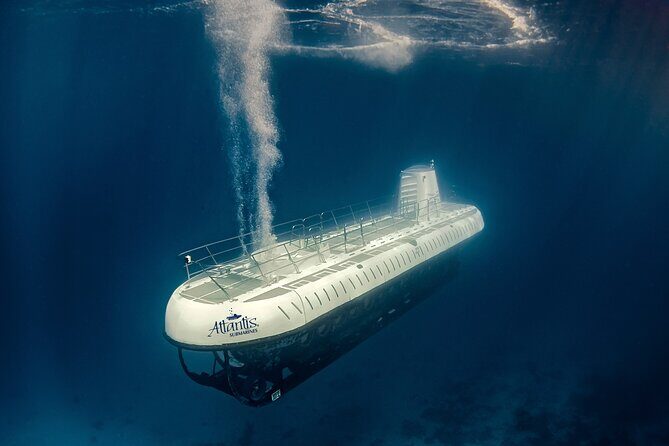 Submarine Atlantis Cozumel Adventure by Day & Sunset - The Boat Ride and Timing: Why the Whole Day Feels Smooth (When It Runs)
