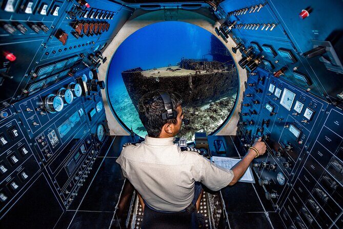 Submarine Atlantis Cozumel Adventure by Day & Sunset - The Descent to Chankanaab Reef: What You’ll See at 100 Feet