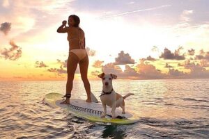 Sunrise Paddle Surf - Meeting point, timing, and the no-surprises morning setup