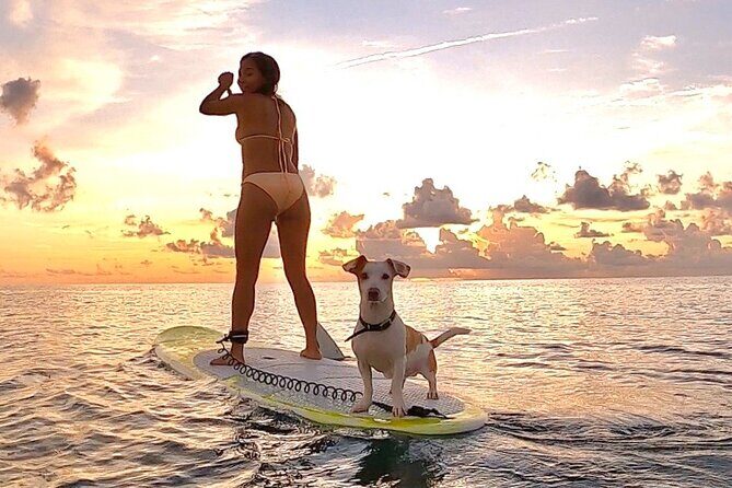 Sunrise Paddle Surf - Meeting point, timing, and the no-surprises morning setup