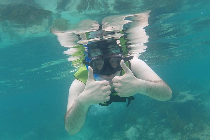 Swim with sea turtles - The snorkeling part: how you see turtles (without rushing or stressing them)