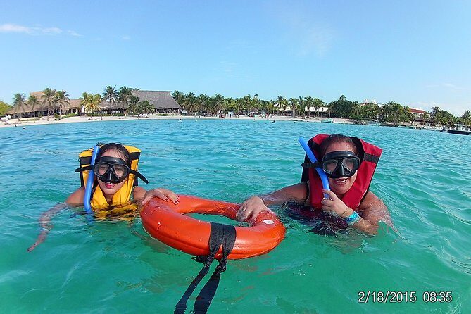 Swim with sea turtles - “Private tour” reality check: what private means in the water