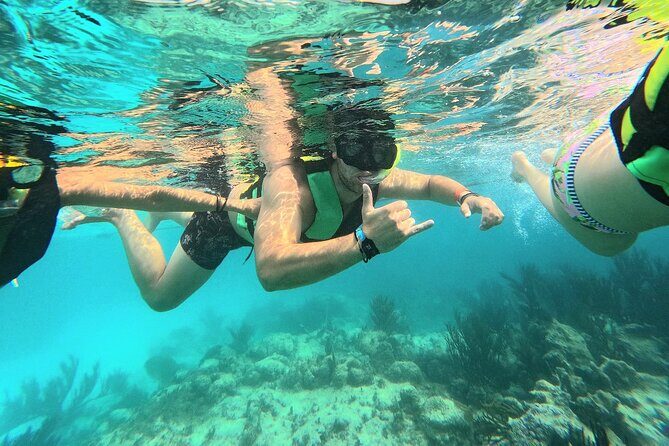 Swim with Turtles in Akumal + GoPro Photo Session - The Hour-Long Snorkel Route: What Happens Step by Step
