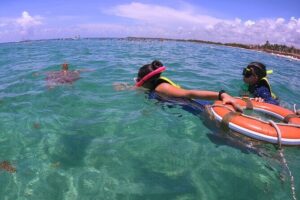 Swim with Turtles in Akumal + GoPro Photo Session - The GoPro Photo Session: Photos Without the Wrestling Match