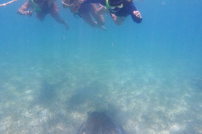 Swim with Turtles in Akumal + GoPro Photo Session - After the Swim: Using the Protected Park Time Wisely
