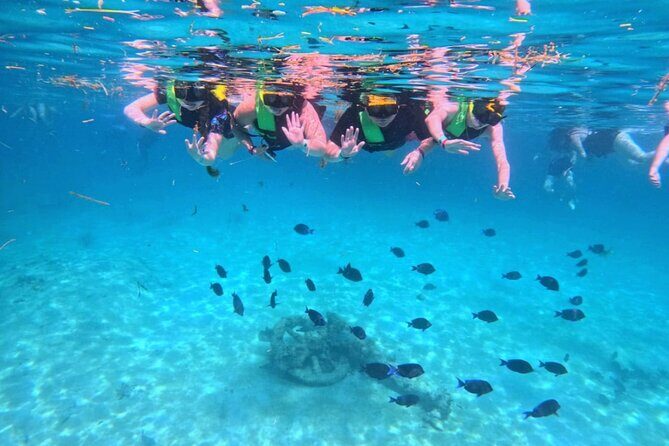 Swim with Turtles in Akumal + GoPro Photo Session - Meeting Point Reality Check: Where to Go and What Can Trip You Up