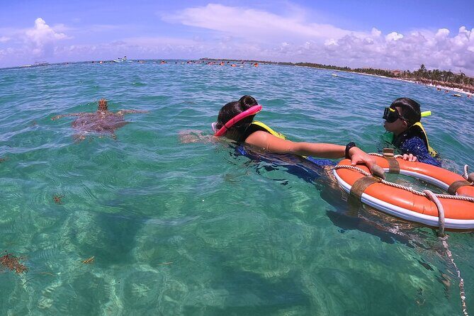 Swim with Turtles in Akumal + GoPro Photo Session - The GoPro Photo Session: Photos Without the Wrestling Match