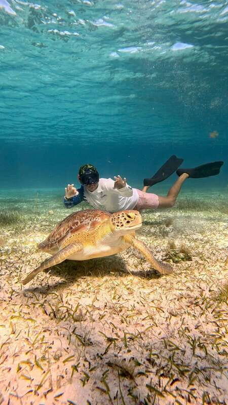 The Cozumel Turtle Sanctuary Snorkel Tour - Who should book (and who should skip) based on comfort and safety
