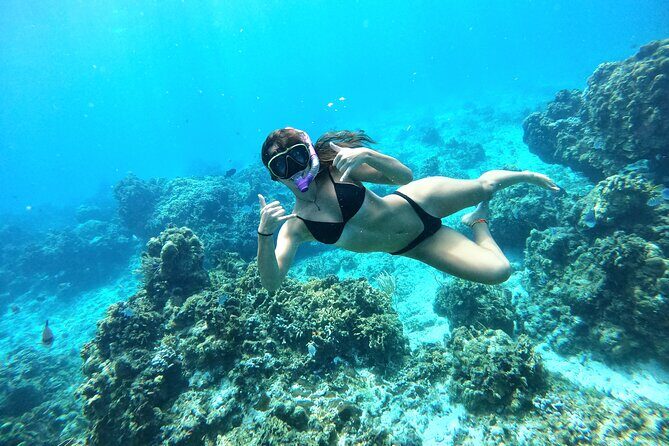 The Cozumel Turtle Sanctuary Snorkel Tour - Cielito Sandbank, Fresh Snacks, and a Golden-Hour Sail Back