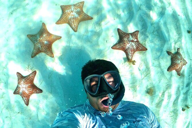 The Cozumel Turtle Sanctuary Snorkel Tour - Crew, Group Size, and Safety: What’s Commonly Praised (and What to Watch)
