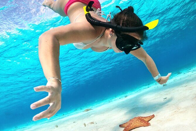The Cozumel Turtle Sanctuary Snorkel Tour - Reef stops: Colombia Reef and Palancar Reef without the rush