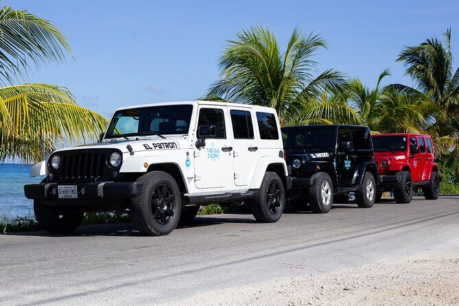 The Original Jeep Tour Revamped by Tortugas Cozumel® (Private) - Driving reality: licenses, 18+ rules, and Jeep comfort