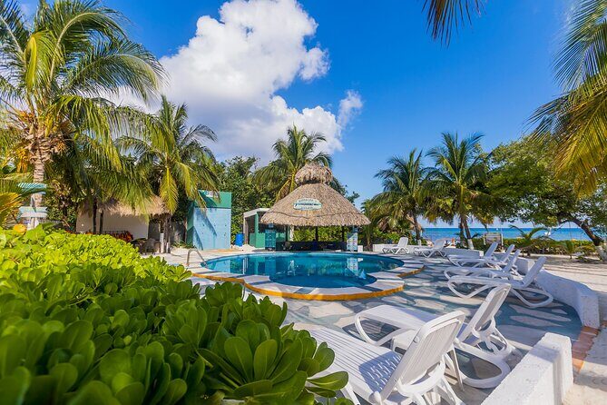 Tikinxic Barefoot Fish Guided Cookout Experience in Cozumel - Should You Book This Tikinxic Cookout in Cozumel?