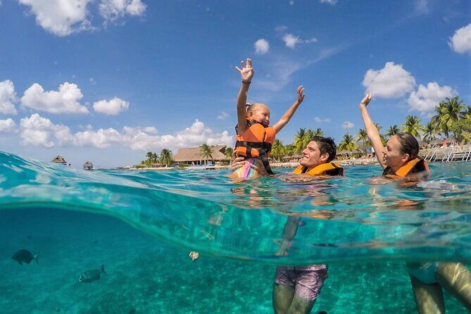 Tour to Cozumel by Catamaran with Snorkeling and Buffet Lunch - What to Expect From the Day’s Flow