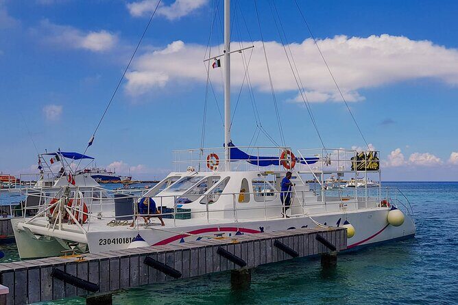 Tour to Cozumel by Catamaran with Snorkeling and Buffet Lunch - Palancar Reef Snorkeling Stop: Coral and Fish in About 30 Minutes