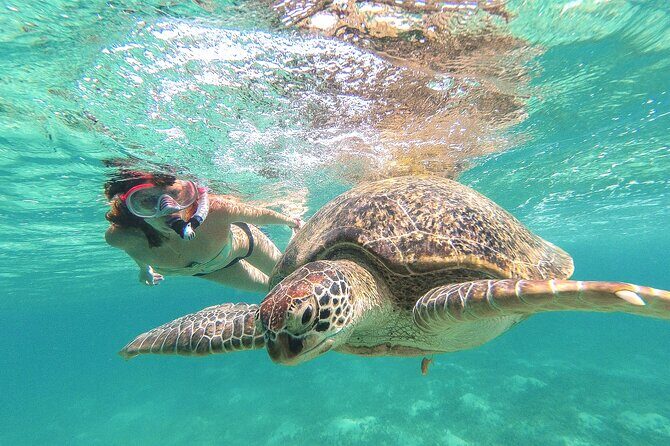 Tour to Tulum and Cenote Swimming with Turtles from Tulum - Key highlights at a glance