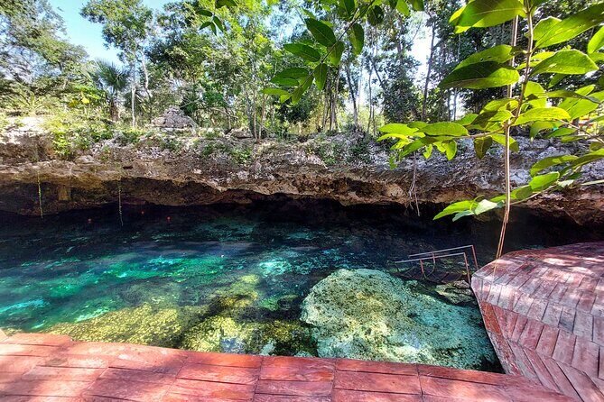 Tour to Tulum and cenote with swimming with turtles from Riviera Maya - Stop 3: Akumal turtle swim in their natural habitat