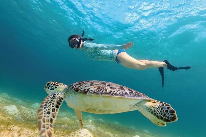 Tour to Tulum and cenote with swimming with turtles from Riviera Maya - Stop 5: return to Riviera Maya and drop-off