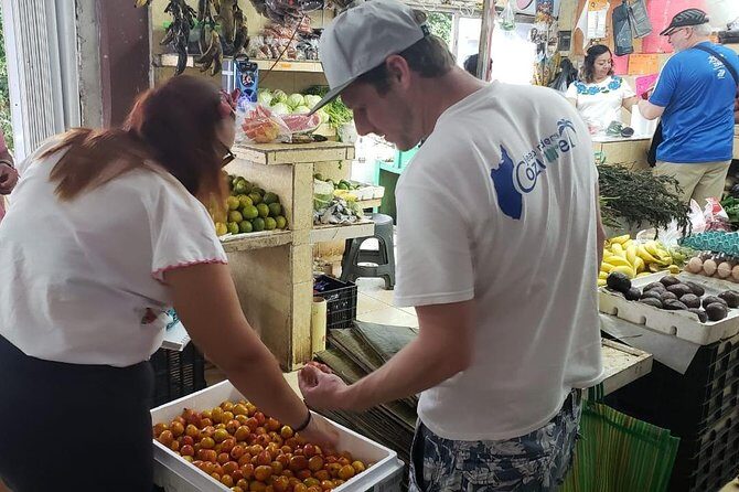 Traditional Family Kitchen in Cozumel - Who Should Book This Cooking Experience