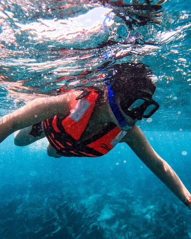 Tulum: 2-Hour Snorkeling in Two Spots of Tulum's Reef - Tips to Improve Your Odds of Great Wildlife Photos