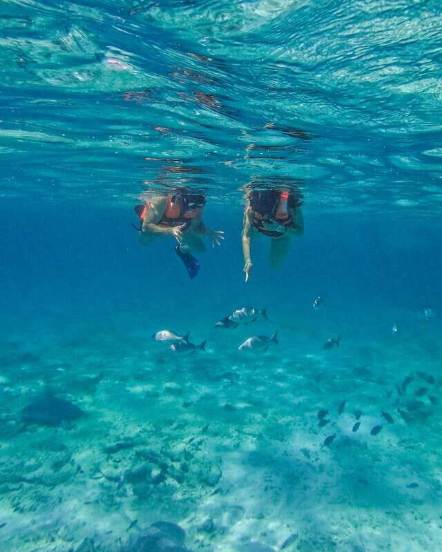 Tulum: 2-Hour Snorkeling in Two Spots of Tulum's Reef - Snorkel Stop One: Coral, Turtles, Rays, and the Right Kind of Guide