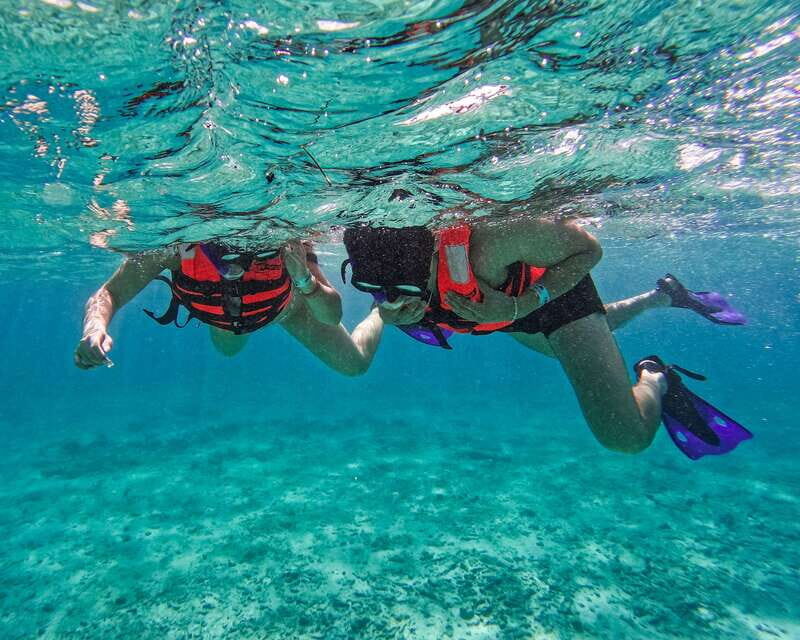 Tulum: 2-Hour Snorkeling in Two Spots of Tulum's Reef - Snorkel Stop Two: A Second Patch of Reef for More Variety
