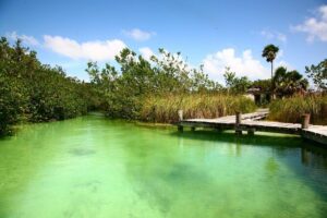Tulum Archaeological Site & Sian Ka'an Muyil Tour from Tulum - Stop 1: Tulum archaeological site on the cliff coast