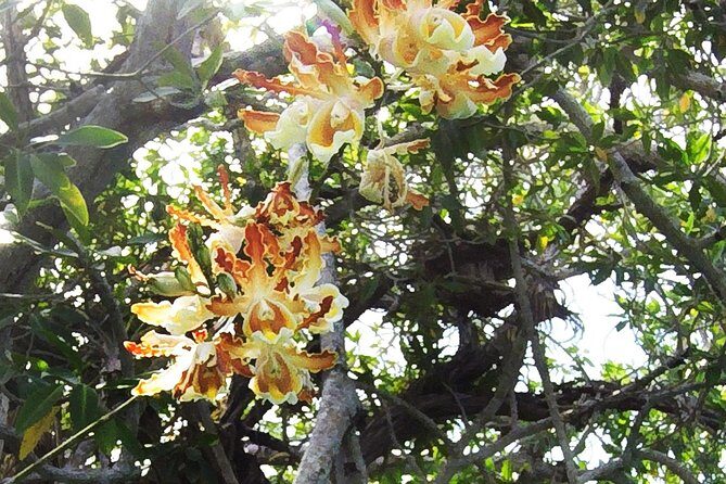 Tulum Archaeological Site & Sian Ka'an Muyil Tour from Tulum - The taco lunch break: fuel without turning your day into a food quest
