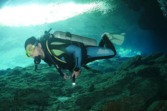 Tulum Area Experiences Guided 2 Tank Scuba Dive Casa Cenote & Barrier Reef-Lunch - Casa Cenote: freshwater roots, wildlife, and a first tank session
