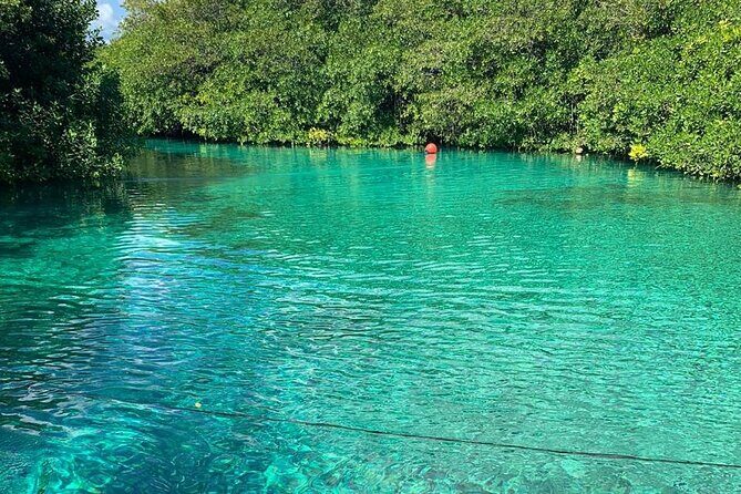 Tulum Area Experiences Guided 2 Tank Scuba Dive Casa Cenote & Barrier Reef-Lunch - Ocean conditions and refunds: how to manage your expectations