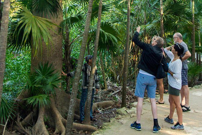 Tulum Bike Tour Tulum Maya Ruins Cenote Swimming Pueblo History Art Tacos Lunch - Bike Terrain and Fitness Reality Check (So You Don’t Get Miserable)