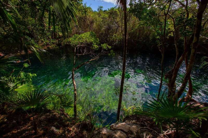 Tulum: Cenote Trail Bike Tour - What the water time is really like: snorkeling, swimming, and cliff jumps