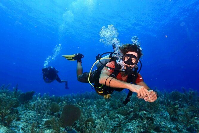 Tulum Diving (Reef) 2 Tanks - Key highlights to know before you go