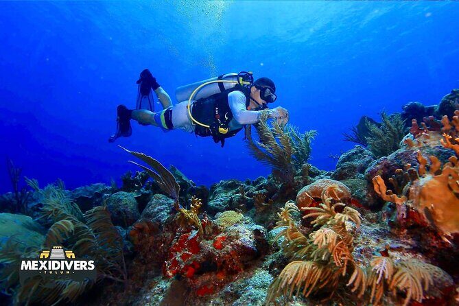 Tulum Diving (Reef) 2 Tanks - The 25-minute boat ride: Why it’s worth doing