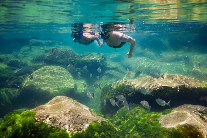 Tulum Guided Tour, Magical Cenote, Lagoon Snorkeling and Beachside Lunch - How the Group Experience Works (and What That Means for Comfort)