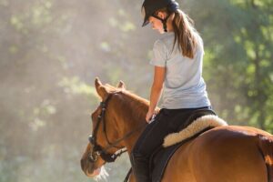 Tulum Jungle Horseback Ride + ATV + Ziplines + Cenote Combo Tour - The day’s flow: ATVs to zip lines to a cenote inside a cave