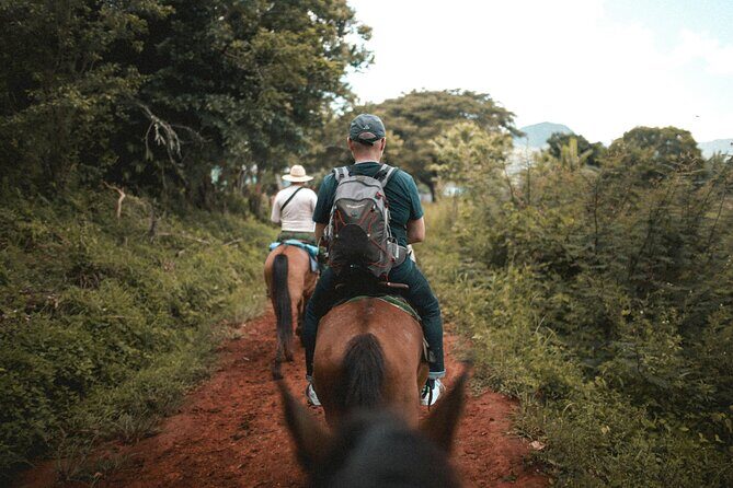 Tulum Jungle Horseback Ride + ATV + Ziplines + Cenote Combo Tour - Horseback riding: the part that’s calming, but not always long