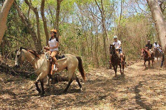 Tulum Jungle Horseback Ride + ATV + Ziplines + Cenote Combo Tour - Who should book this tour (and who might bounce)