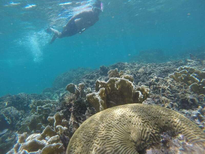 Tulum: Private Snorkel and Sailing Experience - Key highlights you’ll actually care about