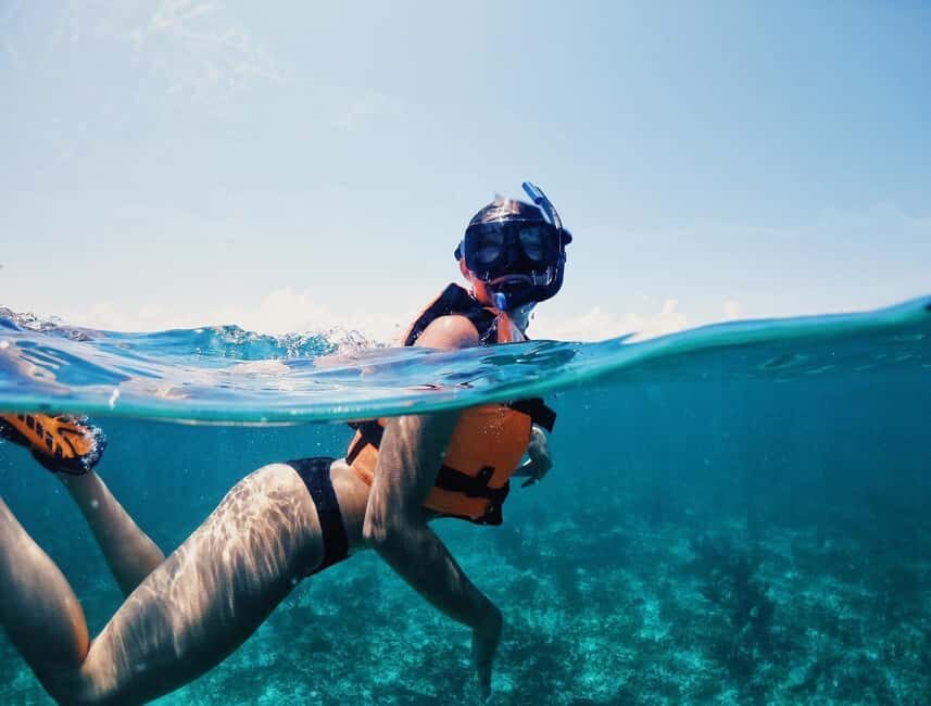 Tulum: Private Snorkel and Sailing Experience - Snorkeling on the Mesoamerican Reef: what you can actually spot