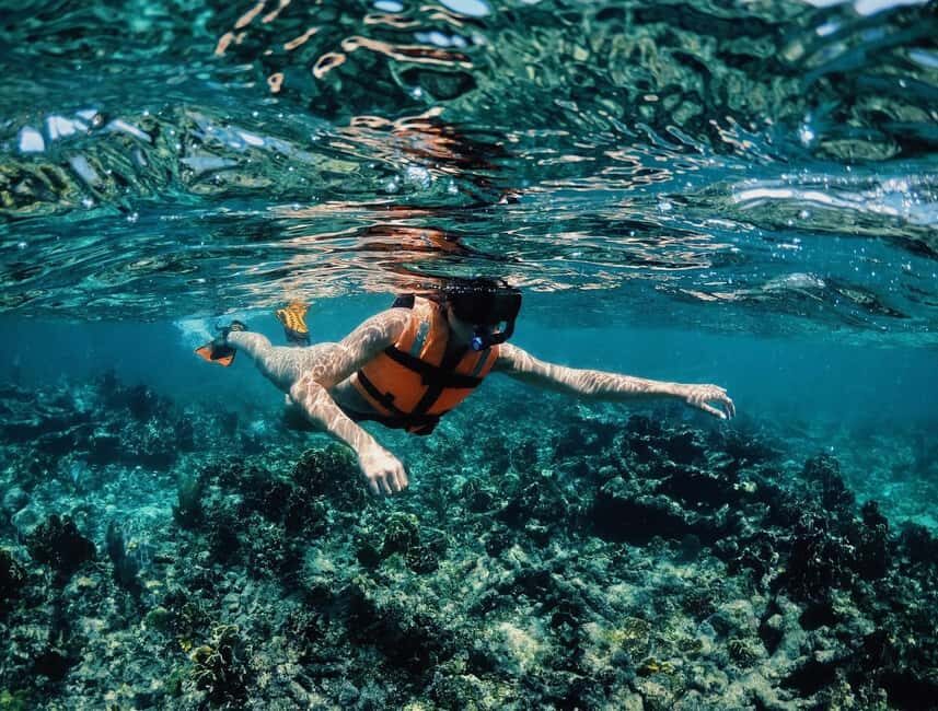 Tulum: Private Snorkel and Sailing Experience - The boat-and-photo rhythm: photos without wasting your legs